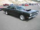 Roadrunner 06